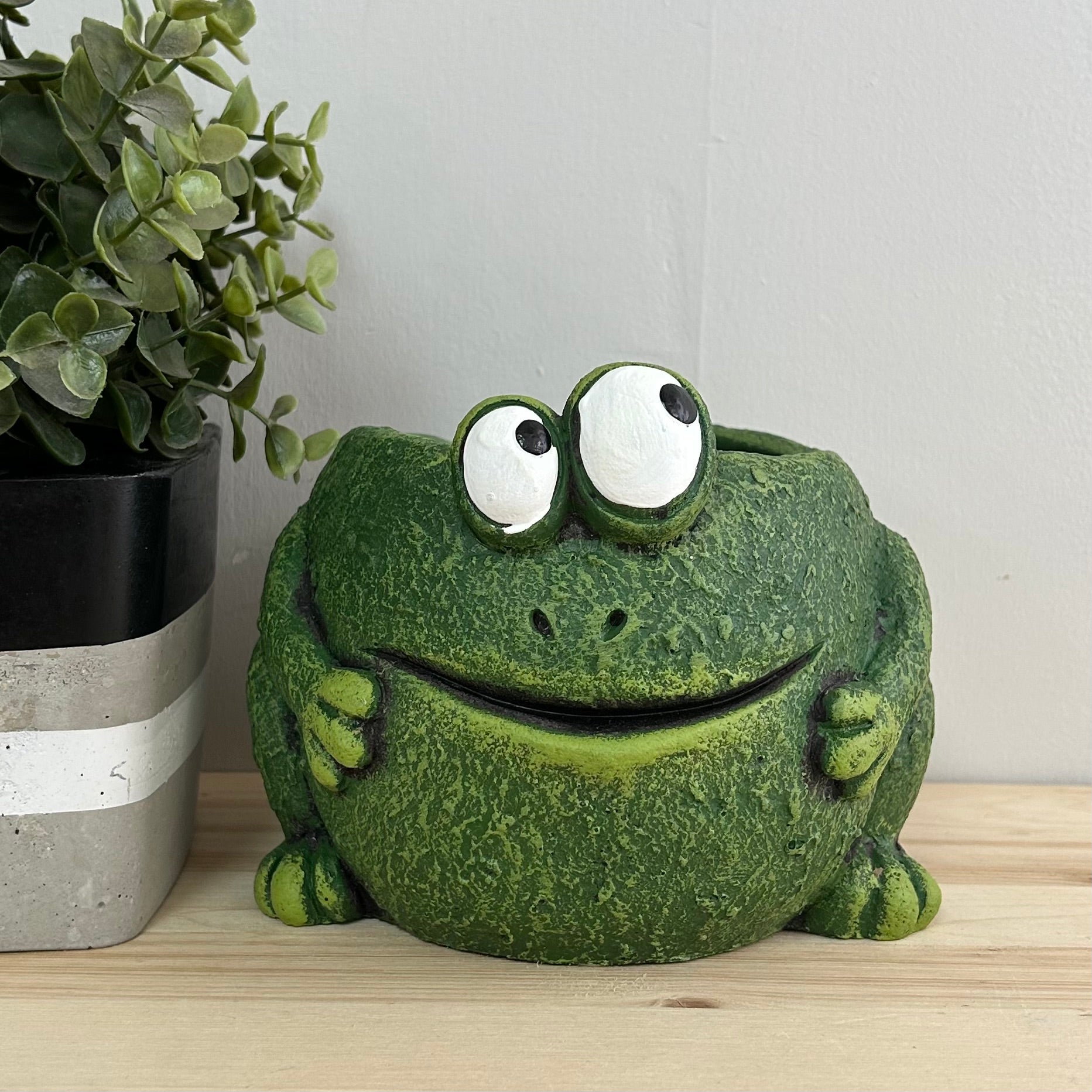 Frog Planter