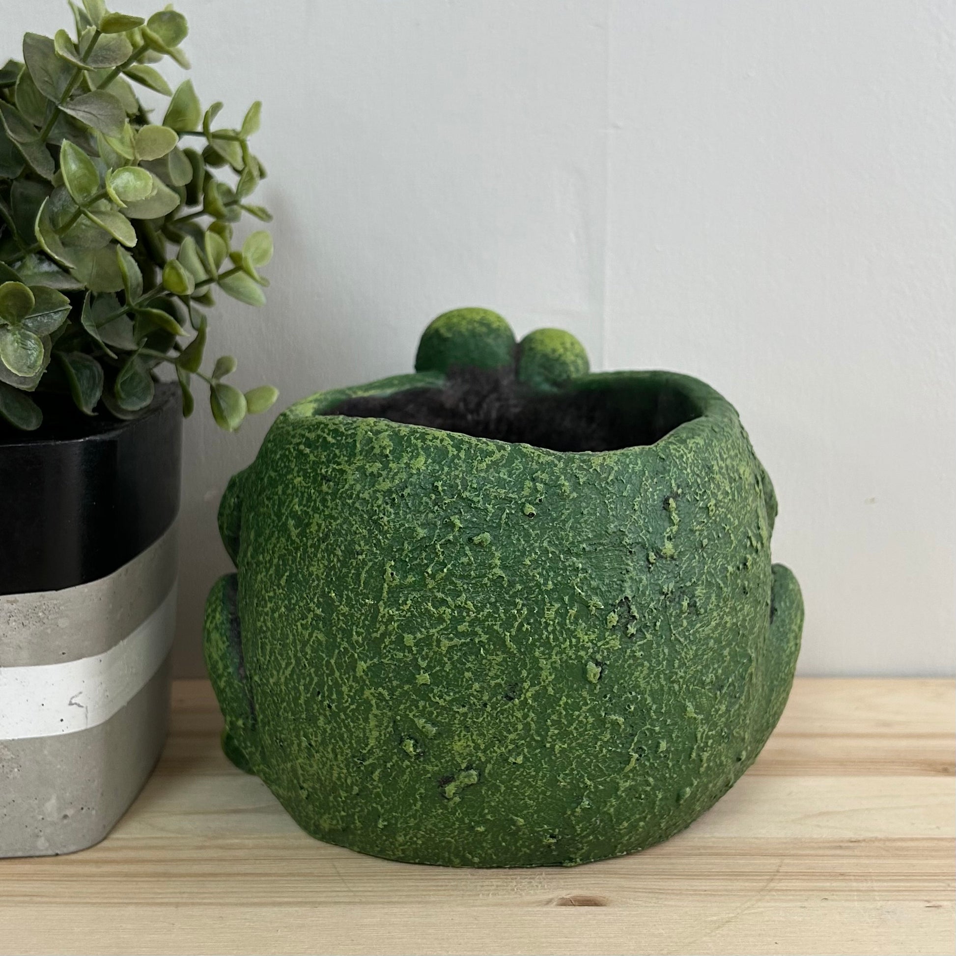 Frog Planter