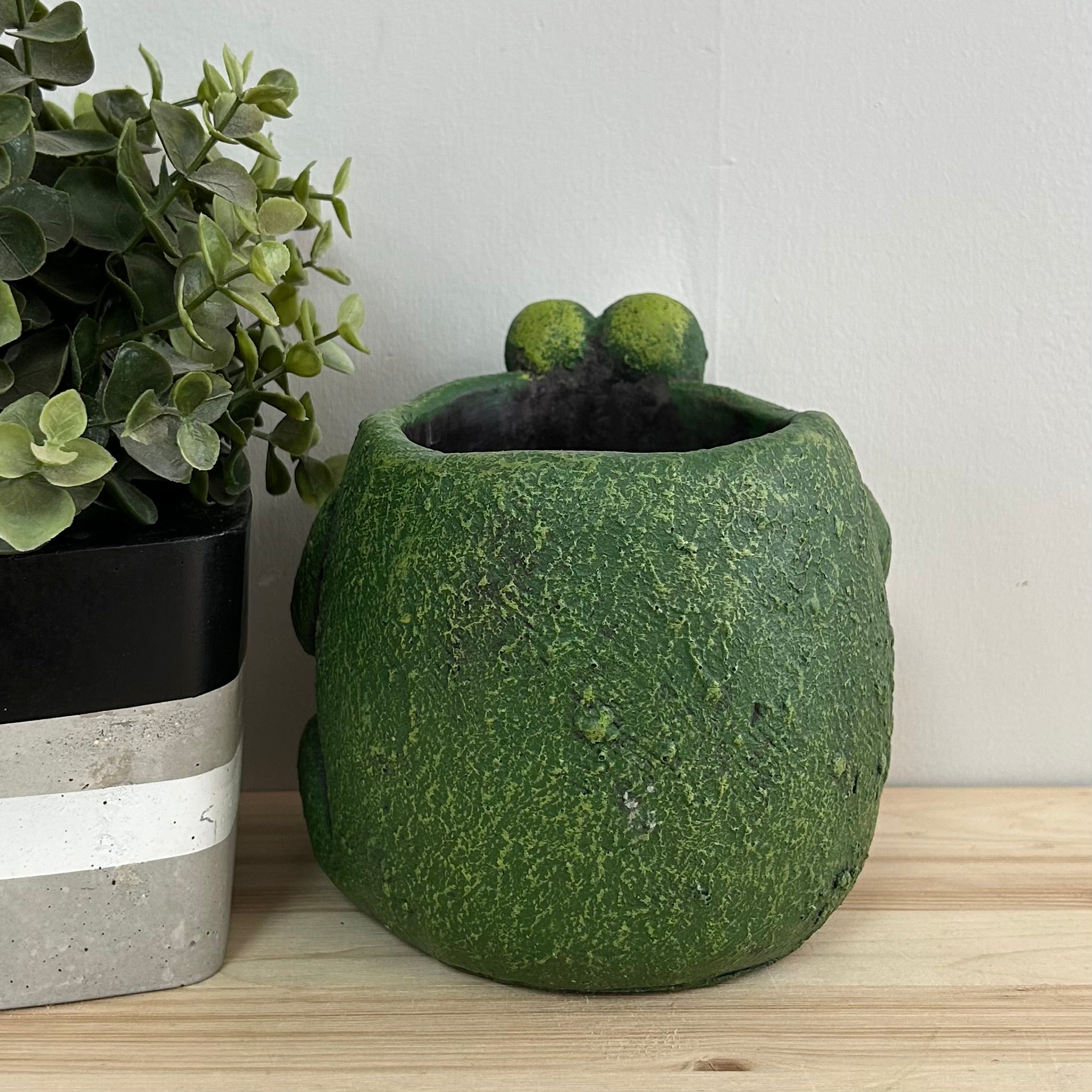 Frog Planter