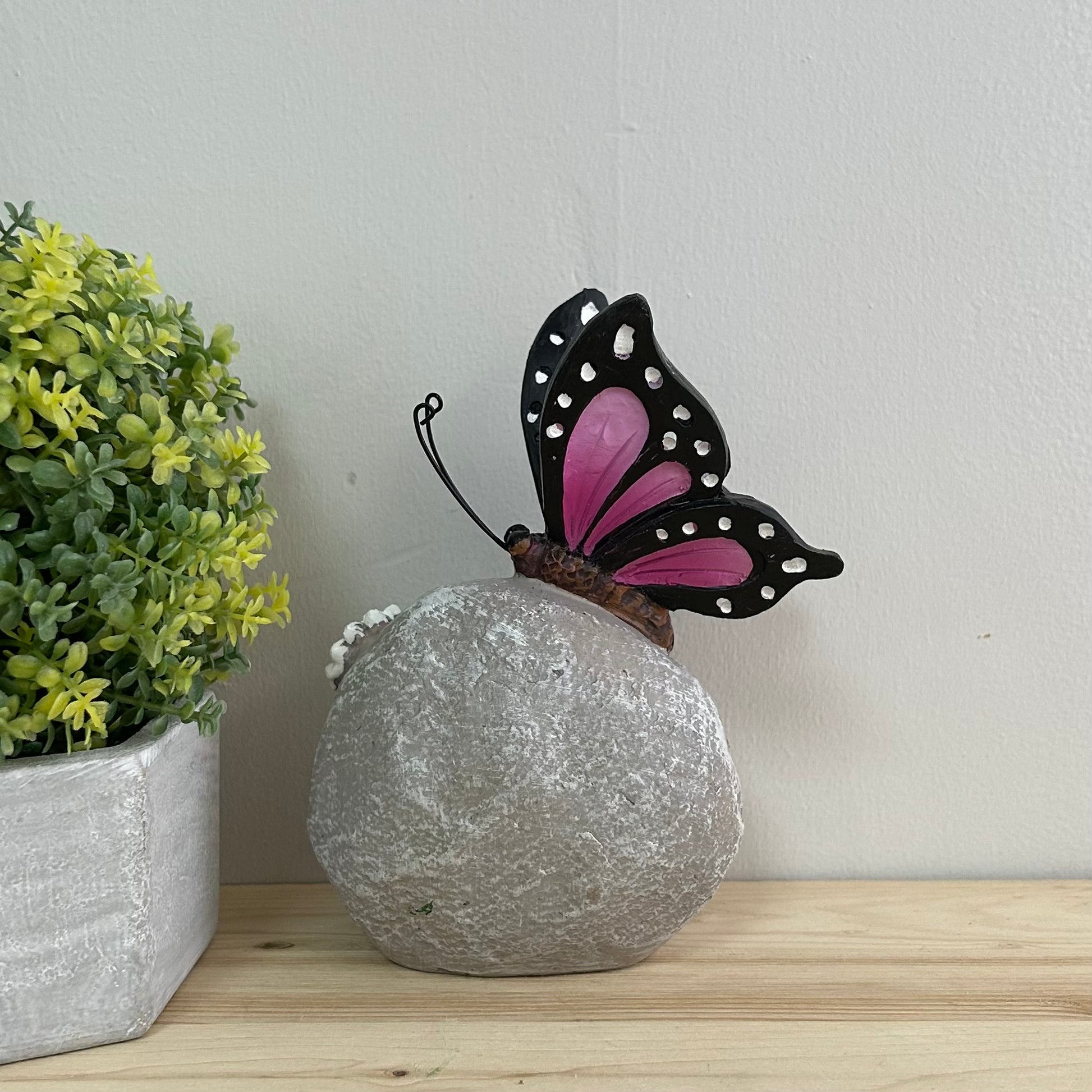 Butterfly & Dragonfly Stones