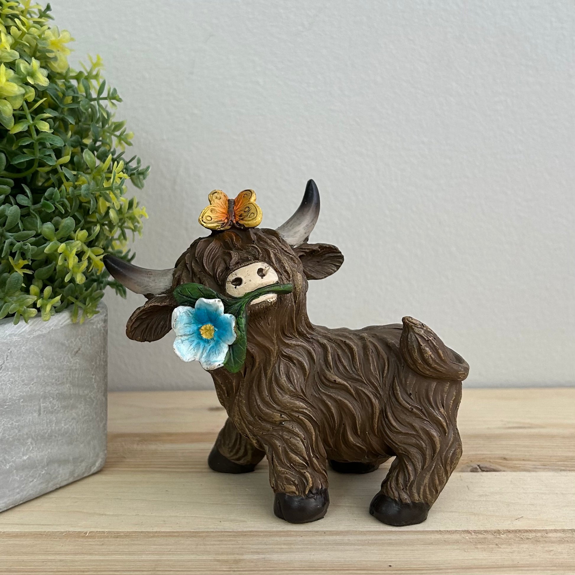 Highland Cows