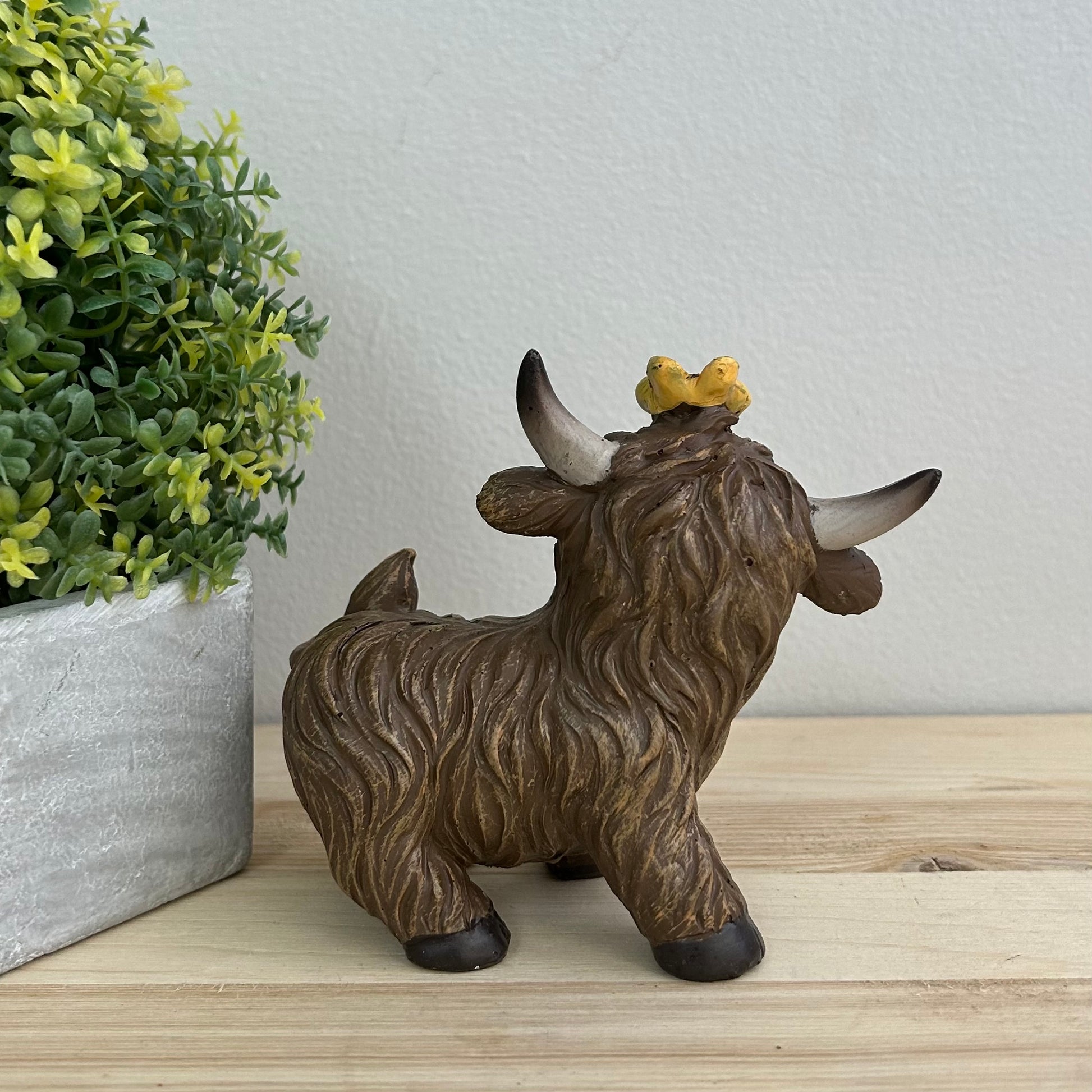 Highland Cows