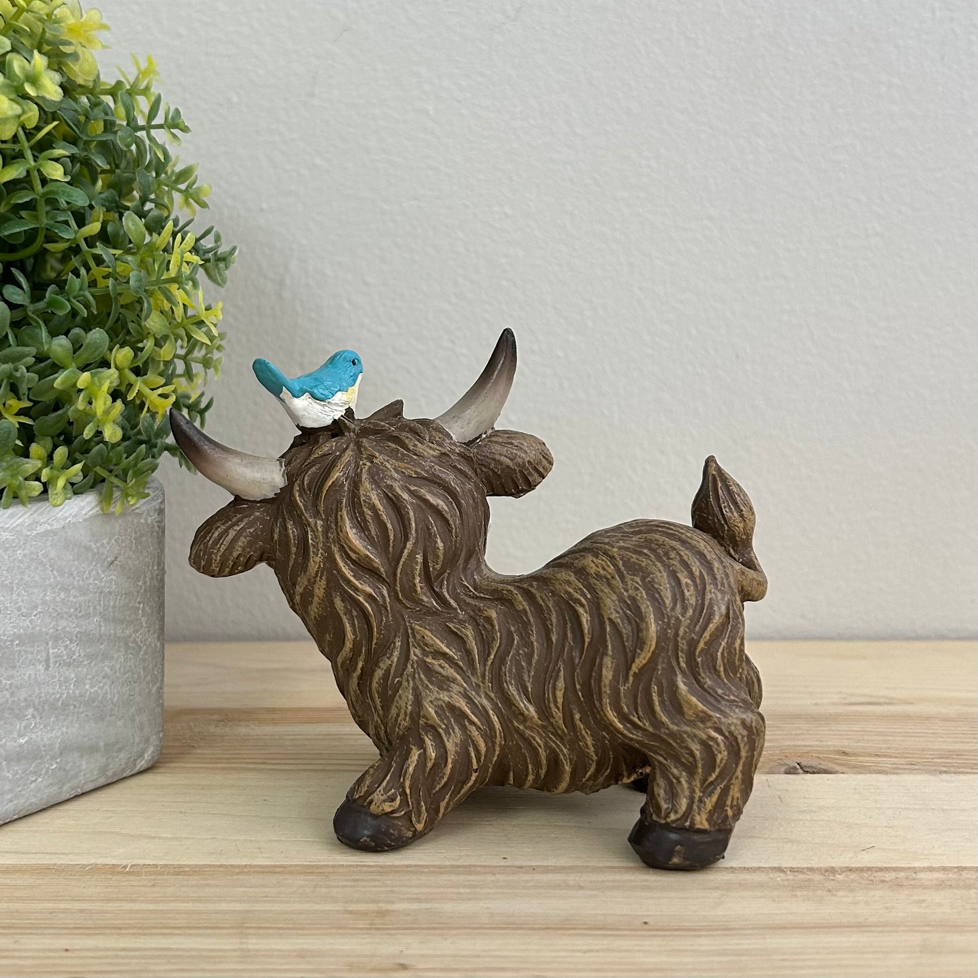Highland Cows