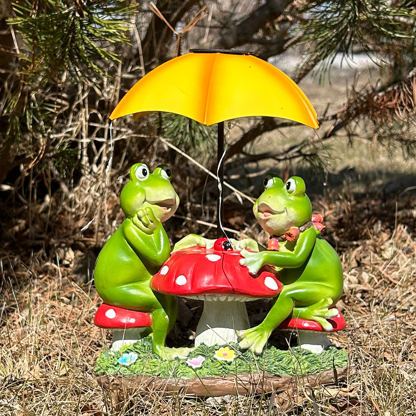 Sitting Frogs