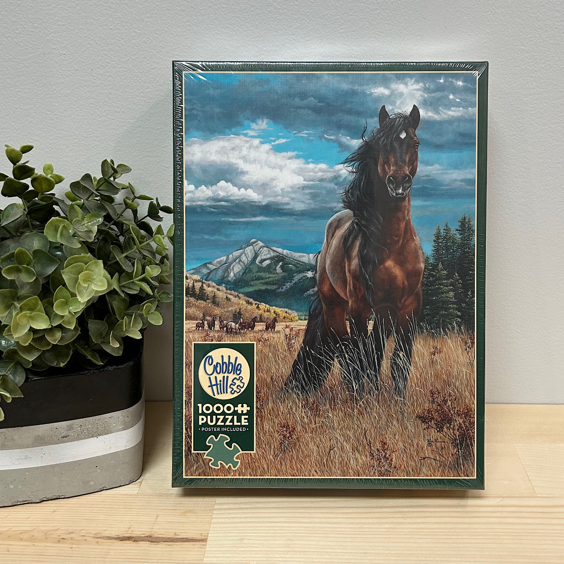 Freedom - Cobble Hill 1000 piece puzzle