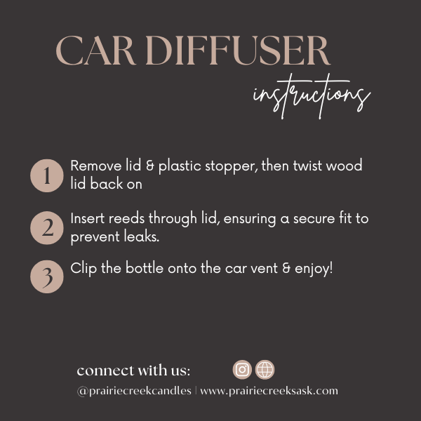 LET'S SNUGGLE | NON TOXIC CAR DIFFUSER | FALL COLLECTION