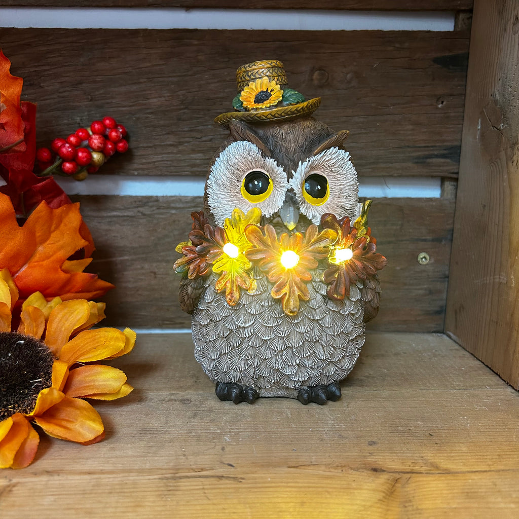 Fall Owl