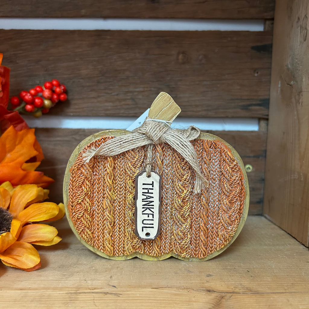 Thankful Knit Pumpkin