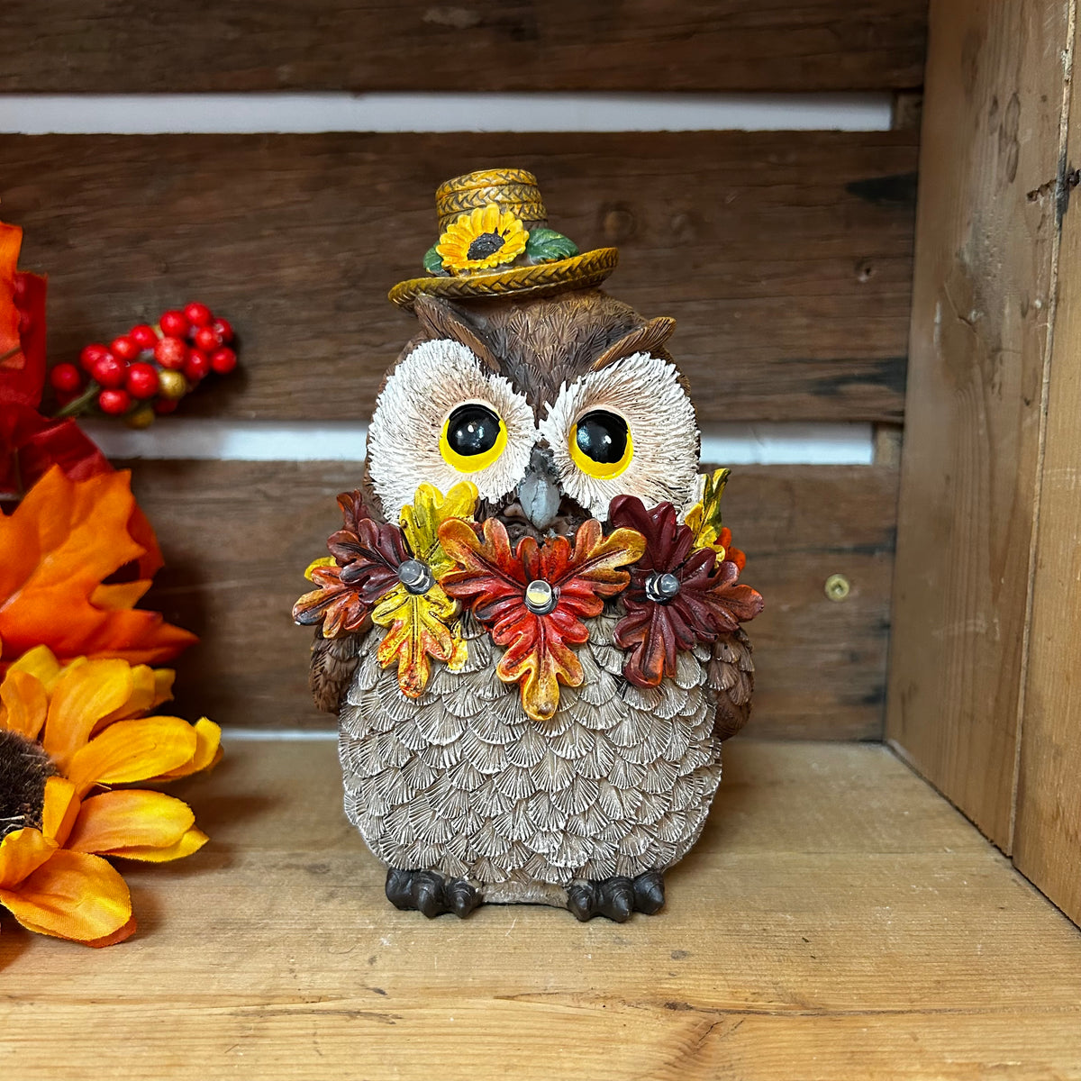 Fall Owl