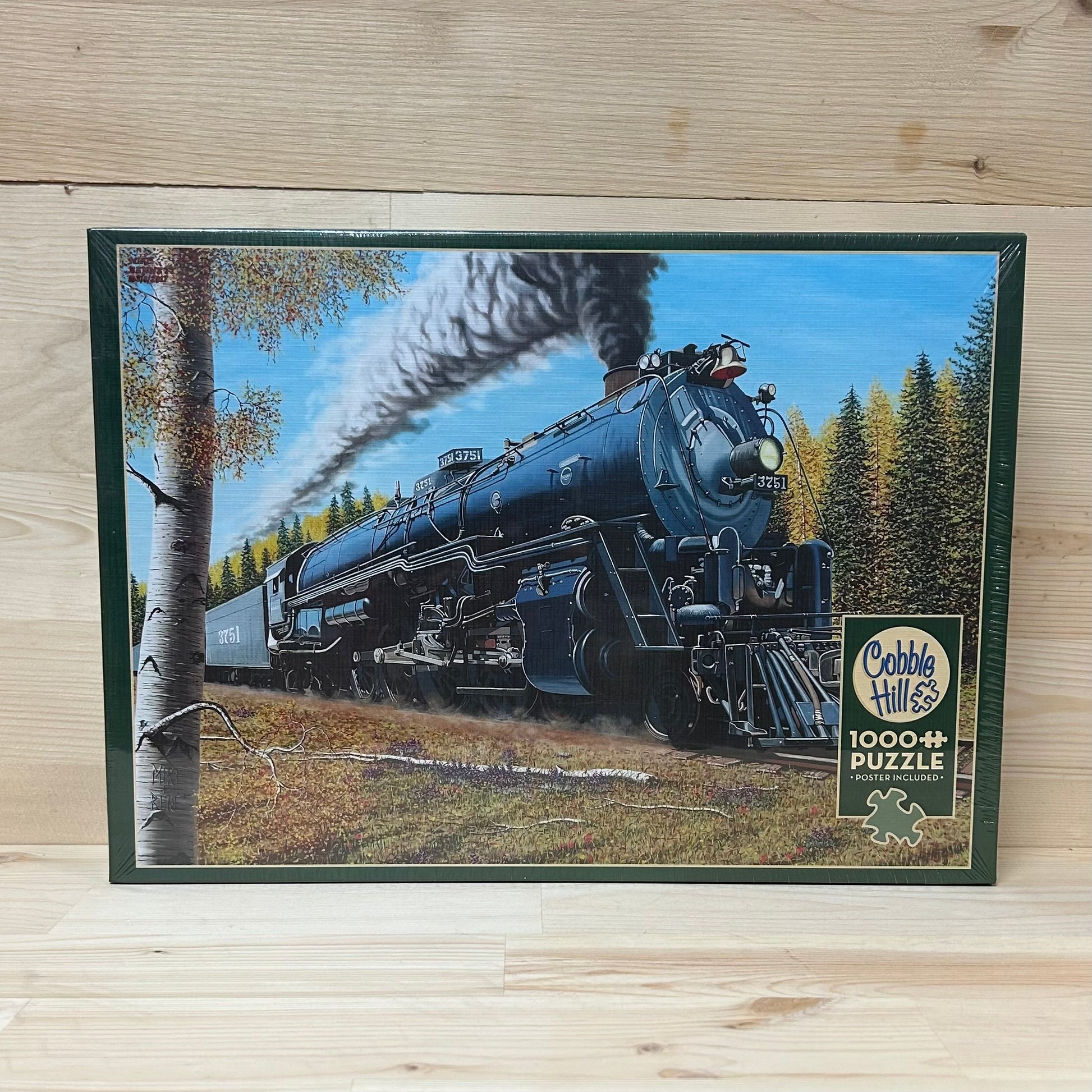 Santa Fe 3751 - Cobble Hill 1000 piece puzzle