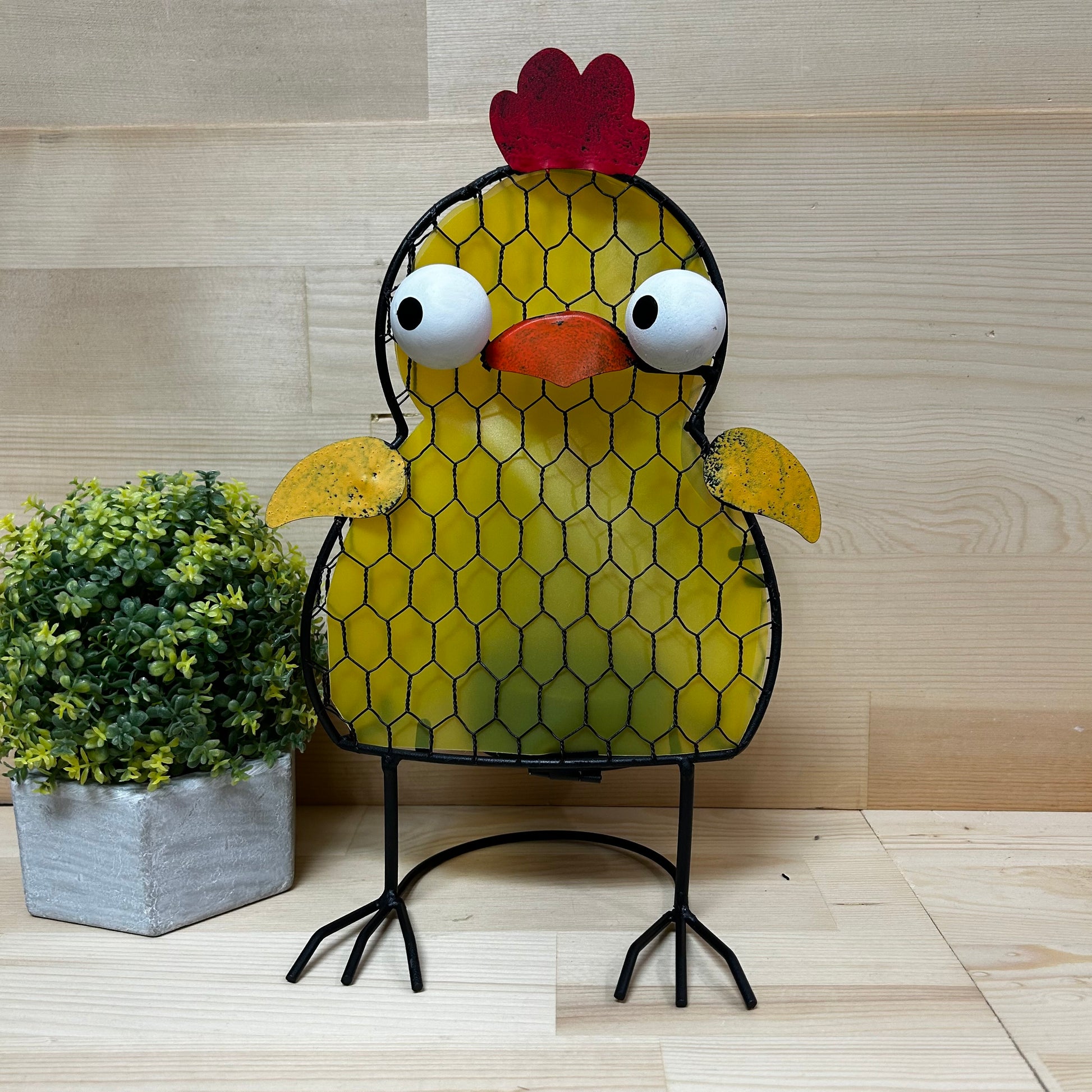 Solar Silly Chicks