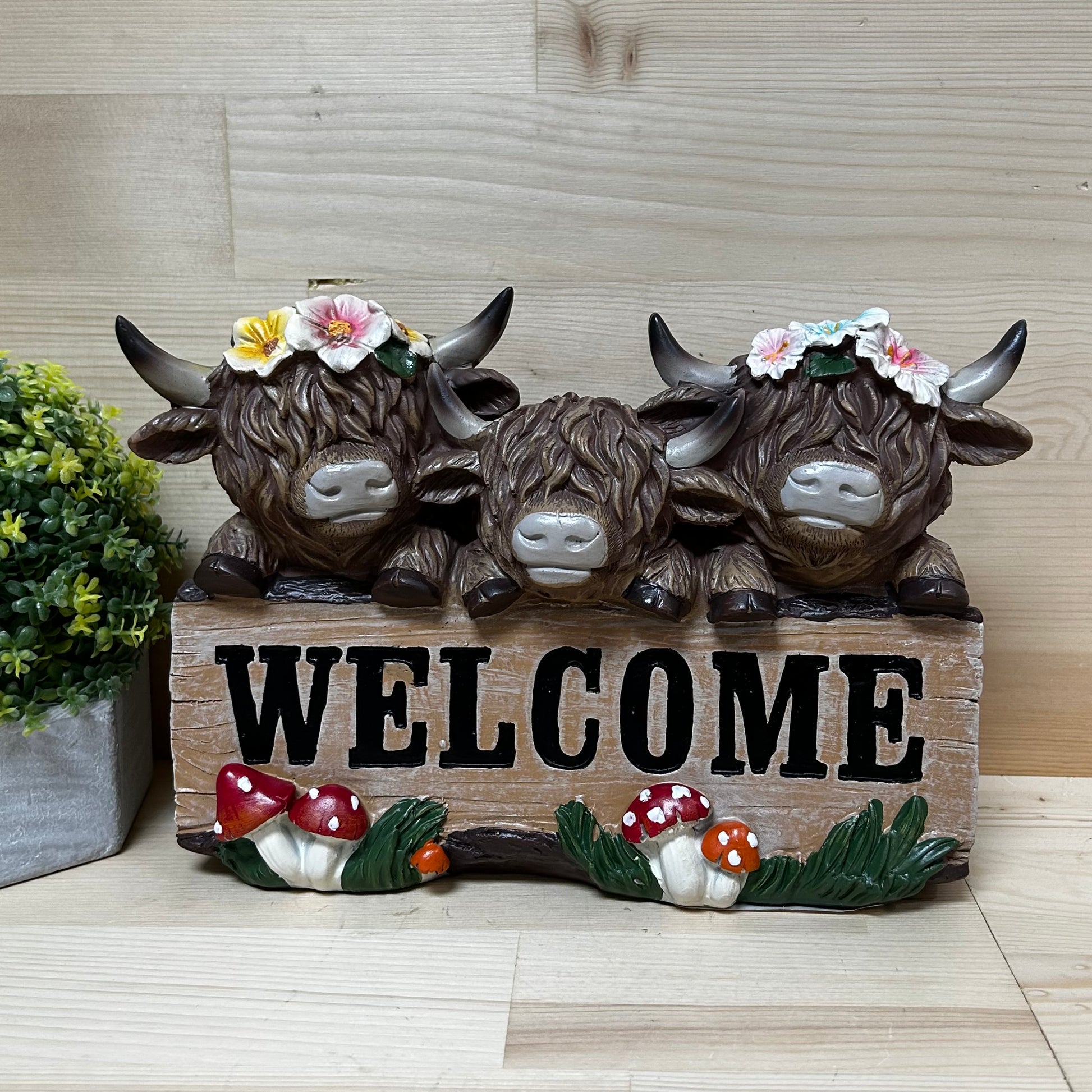 Welcome Highland Cows