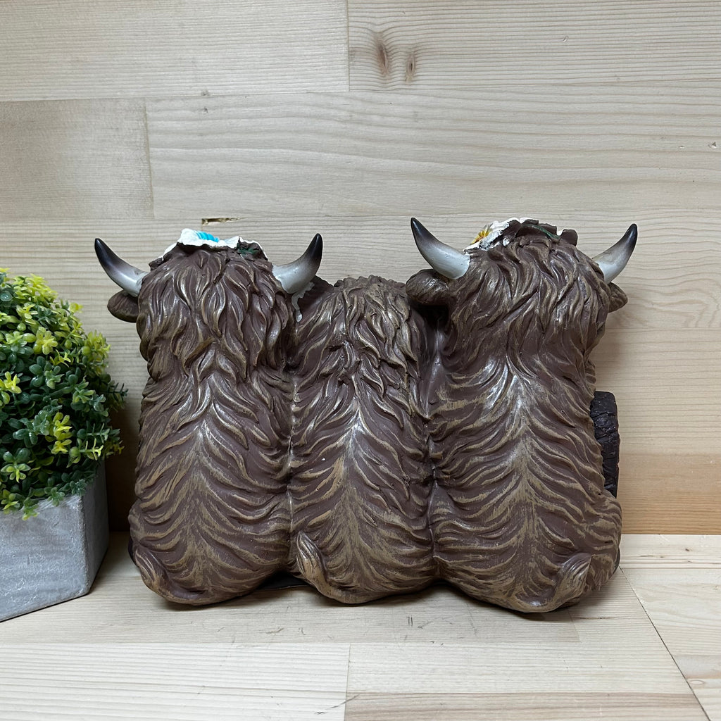 Welcome Highland Cows