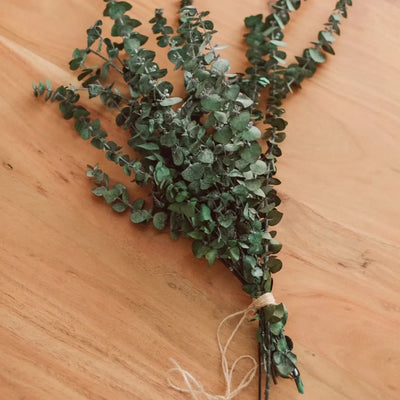 Eucalyptus Shower Bundle