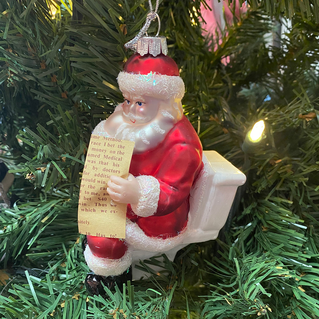 Santa on Toilet