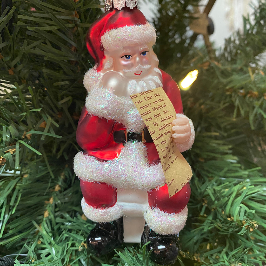 Santa on Toilet